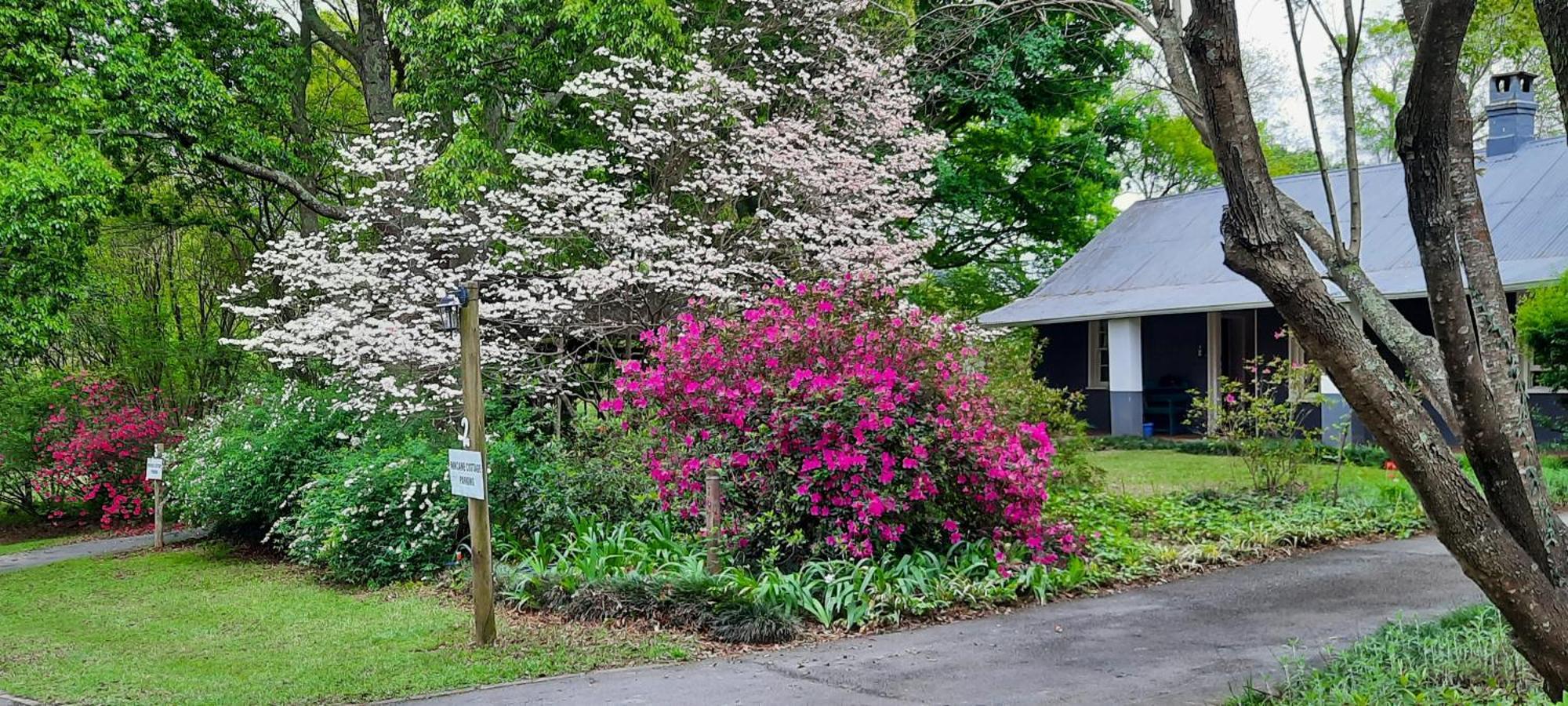 Mill Cottages Lidgetton Esterno foto